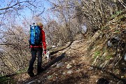 10 Sterrata e mulattiera nel bosco